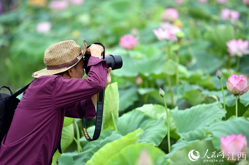 蓮花美景吸引著省內(nèi)外游客來(lái)“打卡”。 人民網(wǎng) 時(shí)雨攝