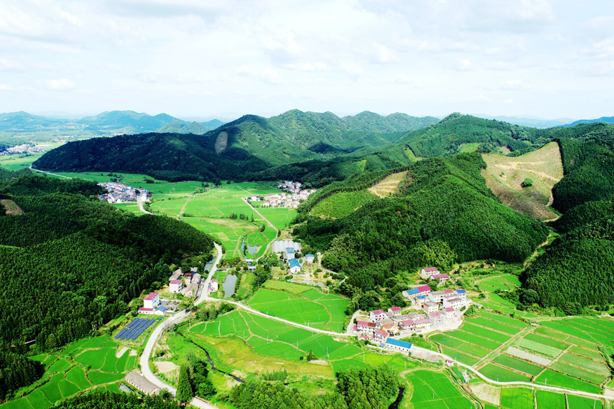 依托生態(tài)水資源優(yōu)勢，金江鄉(xiāng)廟下村綠油油的稻田與連綿起伏的青山、錯落有致的民居、縱橫交錯的田園綠道交相輝映。宋靖輝攝