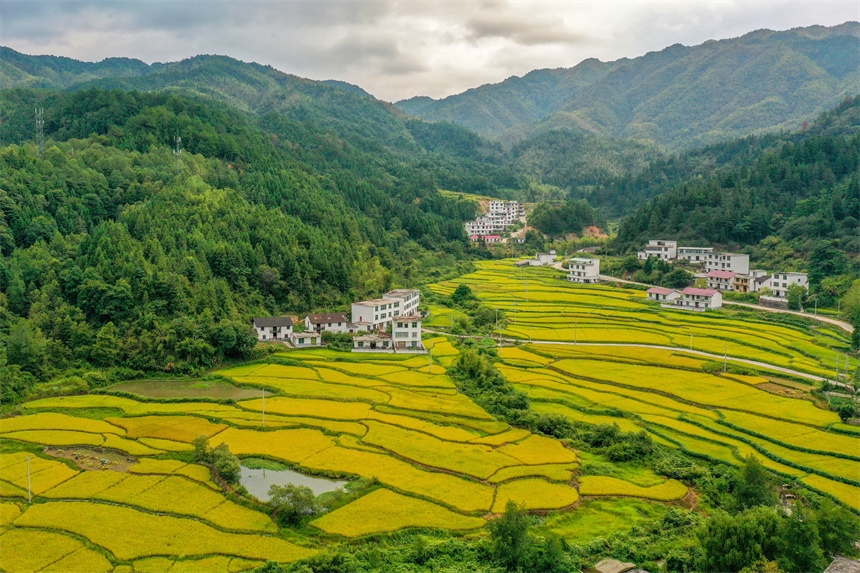 在樂安縣金竹畬族鄉(xiāng)半坪村，鄉(xiāng)村美景映入眼簾。黃煜攝