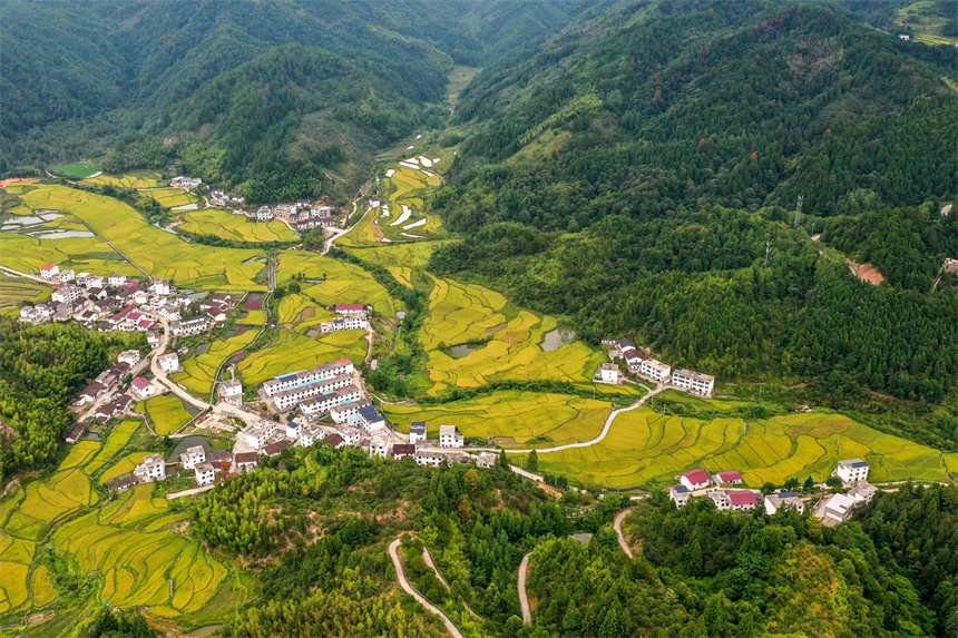 在樂安縣金竹畬族鄉(xiāng)半坪村，鄉(xiāng)村美景映入眼簾。黃煜攝