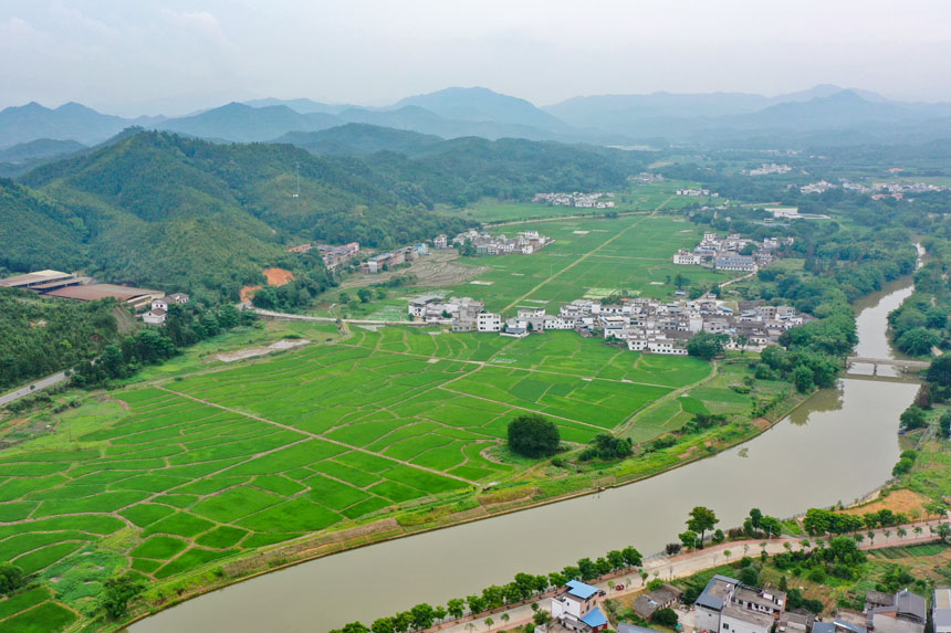 美麗的田園畫(huà)卷。李凡欽攝