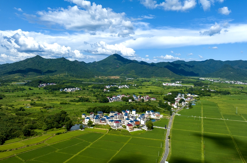 航拍湖口縣武山鎮(zhèn)武前村，藍(lán)天白云下的村居和糧田相互映襯，構(gòu)成一幅美麗的鄉(xiāng)村畫卷。張玉攝