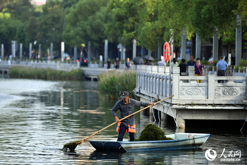 南昌市東湖區(qū)百花洲的東湖水面上，環(huán)衛(wèi)工人駕船清理水面垃圾。 人民網(wǎng)記者 時(shí)雨攝