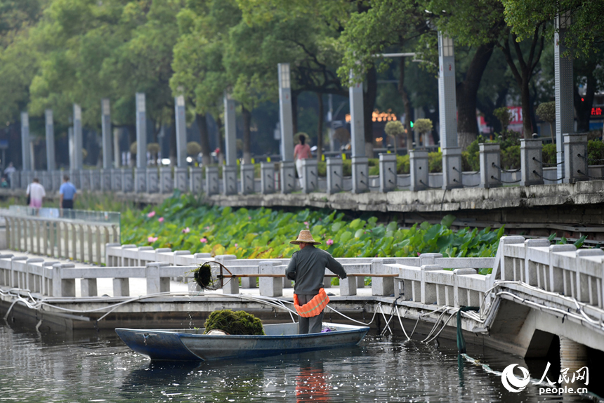 南昌市東湖區(qū)百花洲的東湖水面上，環(huán)衛(wèi)工人駕船清理水面垃圾。 人民網(wǎng)記者 時(shí)雨攝