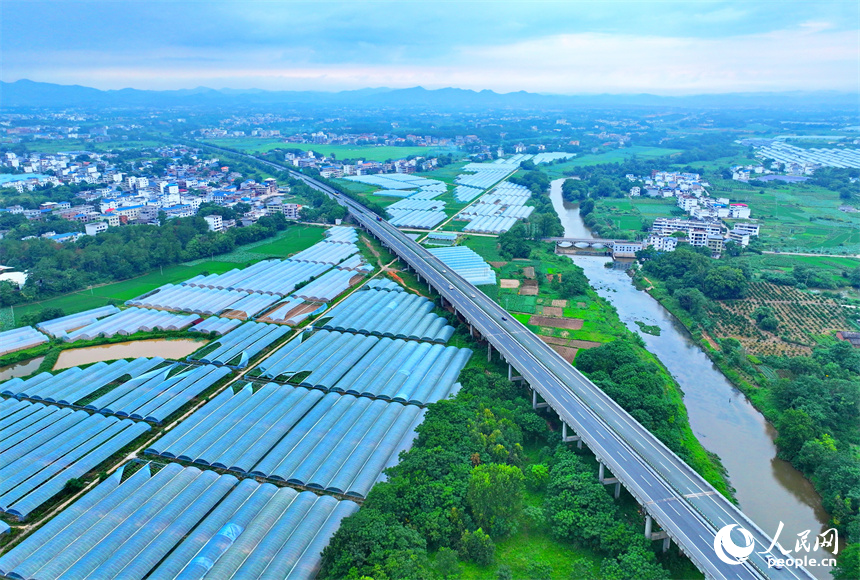 近日，江西省瑞金市葉坪鎮(zhèn)云集村，高速公路沿線蔬菜大棚鱗次櫛比。人民網 朱海鵬攝