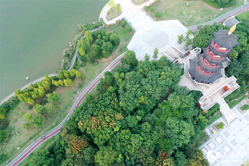 南昌市象湖城市濕地公園發(fā)揮了城市“綠肺、綠腎”功能，讓人們享受城市里的親水空間。 人民網(wǎng)記者 時(shí)雨攝