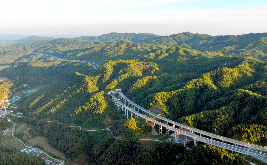 高速公路穿越秋陽映襯的茫茫竹海，構成一幅人文生態(tài)畫卷。何賤來攝