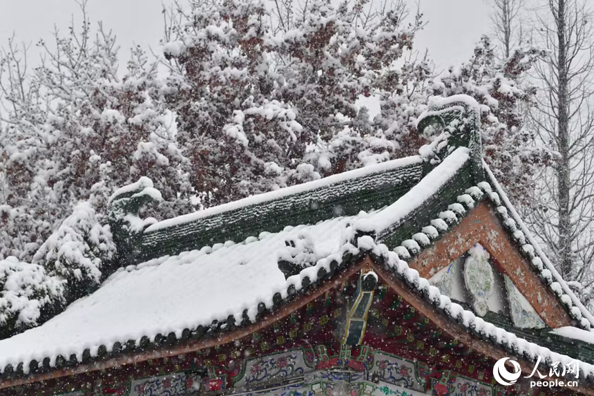 大雪飄落南昌，城市銀裝素裹。 人民網(wǎng)記者 時雨攝