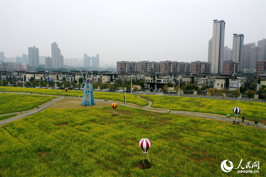 江西南昌馬蘭圩濕地公園內(nèi)的油菜花綻放，景色怡人。 人民網(wǎng)記者 時雨攝