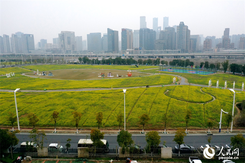 江西南昌馬蘭圩濕地公園內(nèi)的油菜花綻放，景色怡人。 人民網(wǎng)記者 時雨攝