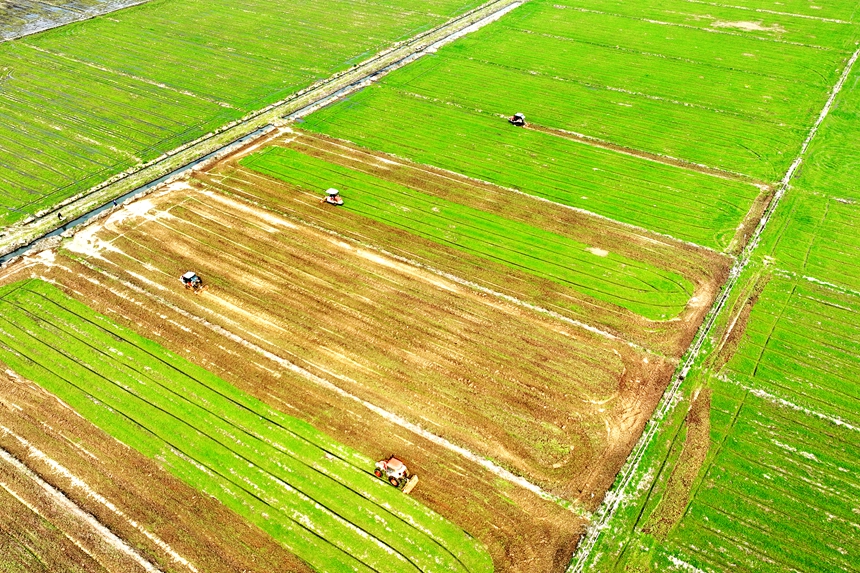 農(nóng)機(jī)手正駕駛著翻耕機(jī)在田間來回穿梭。潘成攝