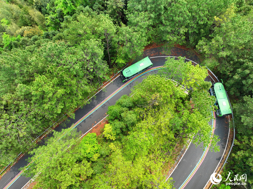 贛州市安遠縣三百山鎮(zhèn)，觀光大巴車行駛在旅游公路上，公路沿線綠色生態(tài)風光怡人。人民網(wǎng) 朱海鵬攝