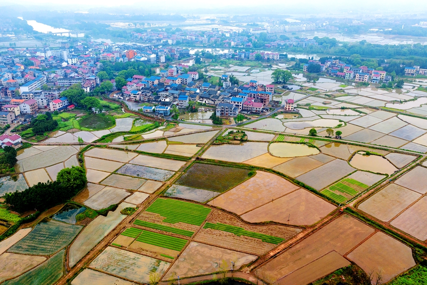 航拍鏡頭下的江西省吉安市吉水縣水南鎮(zhèn)春耕圖景。廖敏攝