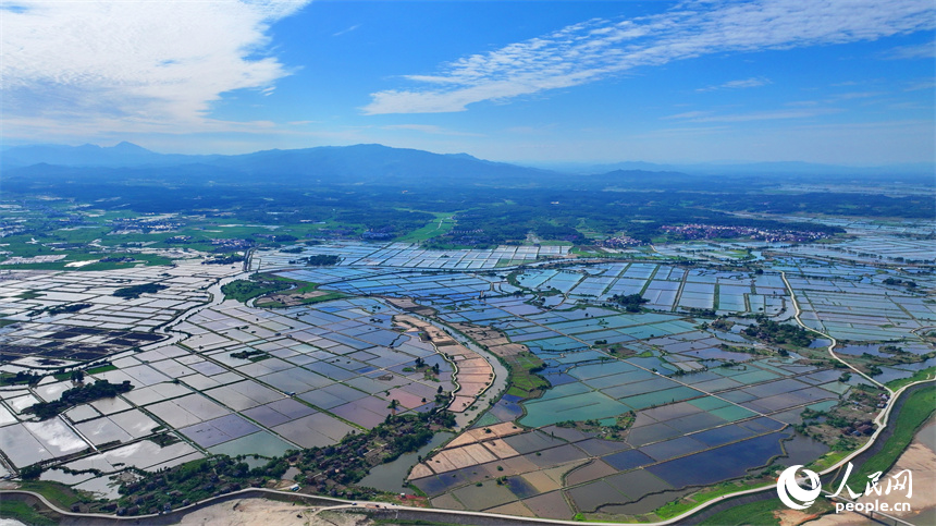 九江市永修縣馬口鎮(zhèn)一帶，蓄水翻耕后的高標準農(nóng)田如同大自然的“調(diào)色盤”。人民網(wǎng) 朱海鵬攝