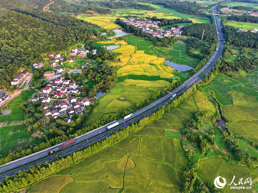 撫州市金溪縣秀谷鎮(zhèn)先鋒村，濟廣高速公路穿村而過，車輛往來疾馳。人民網(wǎng) 朱海鵬攝