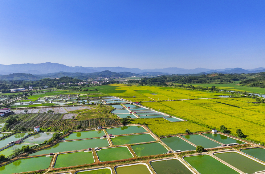 俯瞰南豐縣太和鎮(zhèn)，青山、魚塘、田園及民居等構(gòu)成一幅秀美的生態(tài)鄉(xiāng)村畫卷。謝東攝