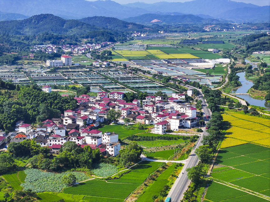 俯瞰南豐縣太和鎮(zhèn)，青山、魚塘、田園及民居等構(gòu)成一幅秀美的生態(tài)鄉(xiāng)村畫卷。謝東攝