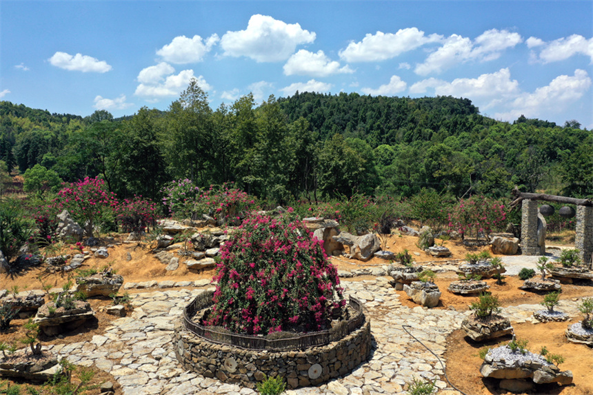 上高縣南港鎮(zhèn)梅沙村石頭坑組“紫薇小鎮(zhèn)”一景。人民網(wǎng)記者 時(shí)雨攝