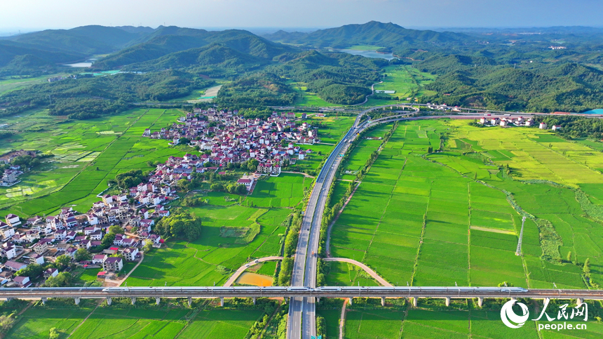 撫州市東鄉(xiāng)區(qū)鄧家鄉(xiāng)古圩村，高速公路和高速鐵路穿村而過(guò)，與沿線鄉(xiāng)村農(nóng)房、稻田相映成景。人民網(wǎng) 朱海鵬攝