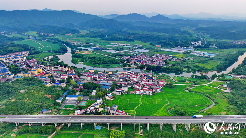 德興市張村鄉(xiāng)界田村，集鎮(zhèn)農(nóng)房規(guī)劃建設(shè)有序，高速公路車輛馳騁，與連綿青山、蜿蜒河流、連片稻田相映成景。人民網(wǎng) 朱海鵬攝