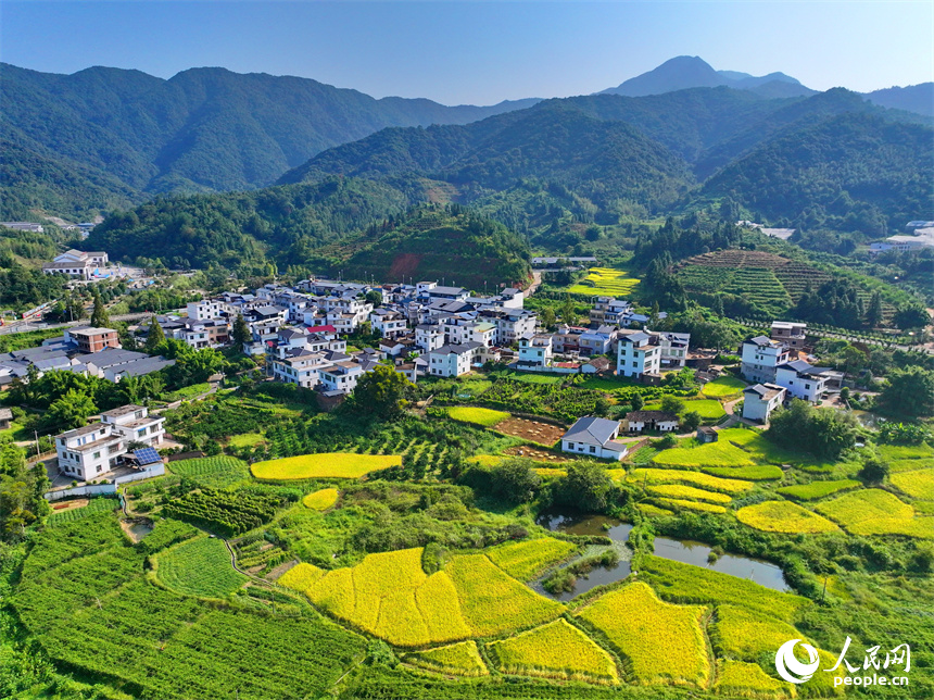 贛州市安遠(yuǎn)縣三百山鎮(zhèn)符山村，仲秋時(shí)節(jié)的鄉(xiāng)村大地如同一幅畫(huà)。人民網(wǎng) 朱海鵬攝