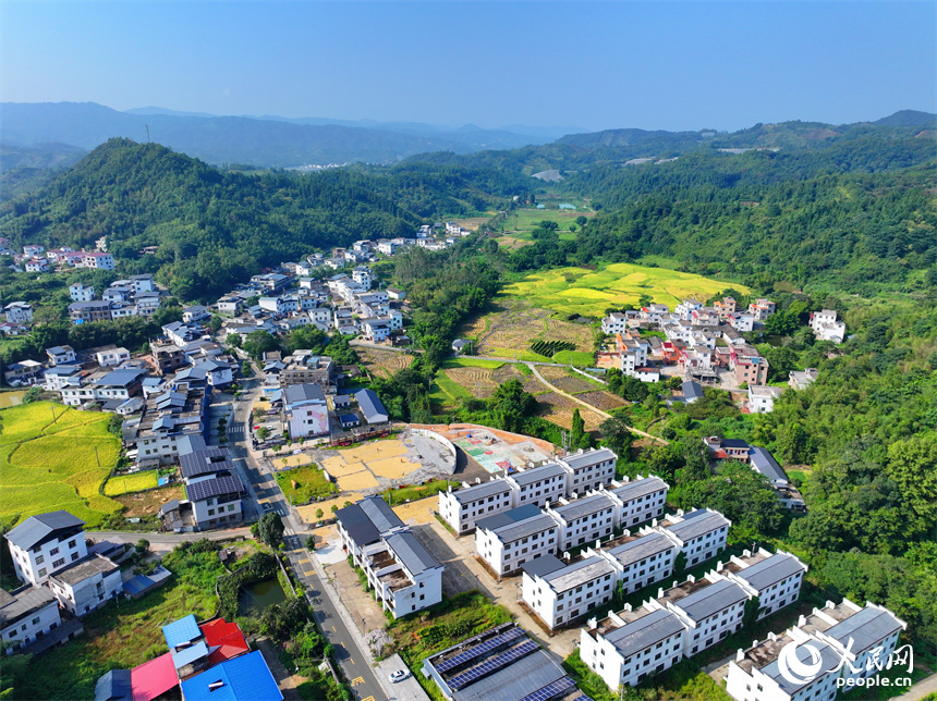 贛州市安遠(yuǎn)縣三百山鎮(zhèn)咀下村，金色稻田與民居相互映襯，一幅和美鄉(xiāng)村的豐收畫(huà)卷徐徐展開(kāi)。人民網(wǎng) 朱海鵬攝