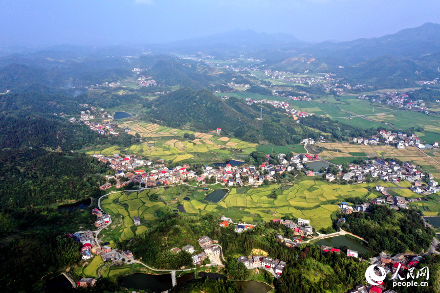 上栗縣赤山鎮(zhèn)黃綠相間的山村田野，青山、農(nóng)房、道路、小溪相互映襯，構(gòu)成了一幅秀美的秋日豐收畫卷。人民網(wǎng)記者 時(shí)雨攝