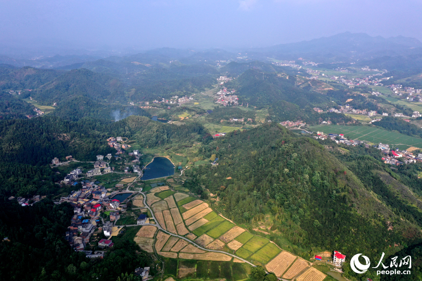 上栗縣赤山鎮(zhèn)黃綠相間的山村田野，青山、農(nóng)房、道路、小溪相互映襯，構(gòu)成了一幅秀美的秋日豐收畫卷。人民網(wǎng)記者 時雨攝