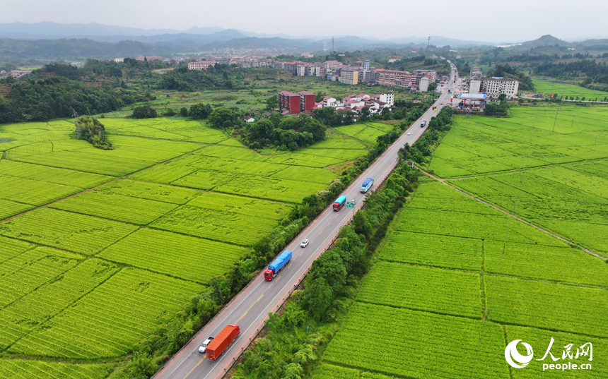 南豐縣白舍鎮(zhèn)白舍村，貨車、汽車往來穿行，筆直的公路與耕地、村莊、遠(yuǎn)山相映成趣，景美如畫。人民網(wǎng) 朱海鵬攝