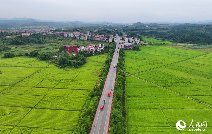 南豐縣白舍鎮(zhèn)白舍村，貨車、汽車往來穿行，筆直的公路與耕地、村莊、遠山相映成趣，景美如畫。人民網(wǎng) 朱海鵬攝