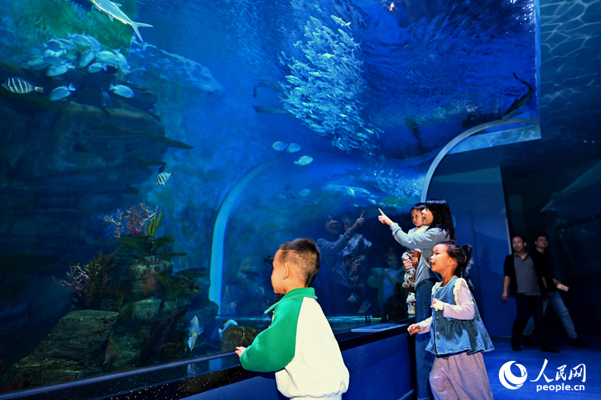 九江市湖口縣江豚灣的長江鄱陽湖水生生物保護基地，許多游客在水族館觀賞水生物。人民網(wǎng) 朱海鵬攝