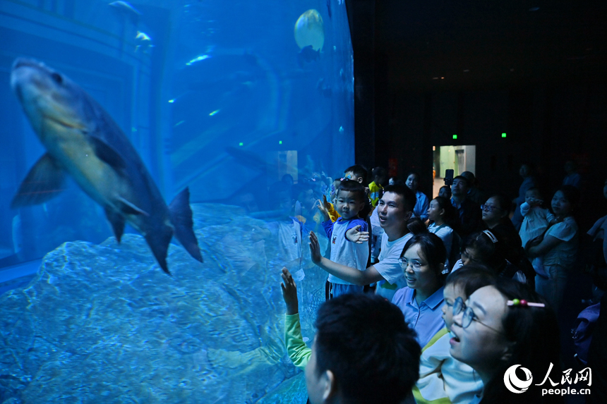 九江市湖口縣江豚灣的長(zhǎng)江鄱陽(yáng)湖水生生物保護(hù)基地，許多游客在水族館觀賞水生物。人民網(wǎng) 朱海鵬攝