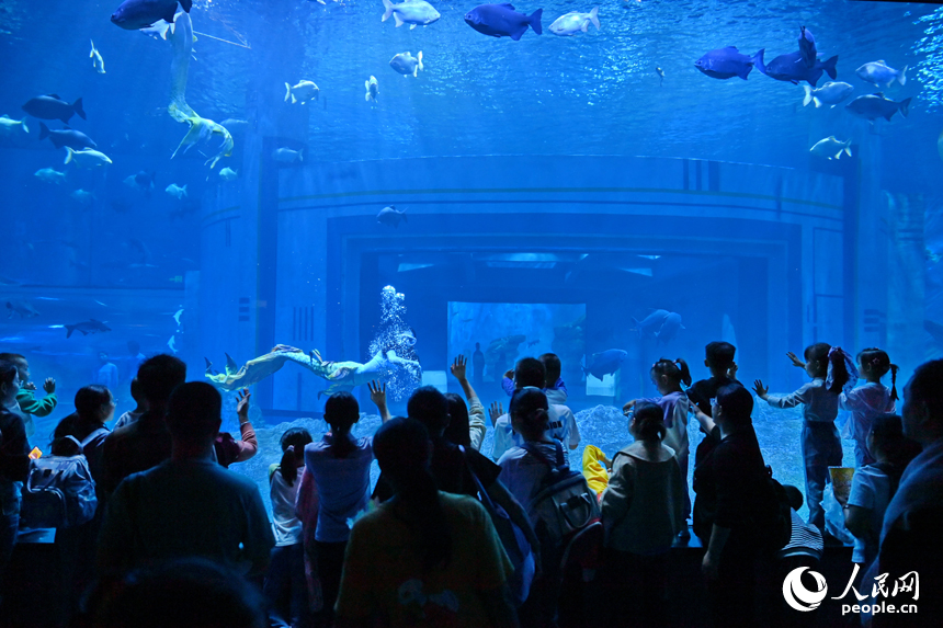 九江市湖口縣江豚灣的長江鄱陽湖水生生物保護基地，許多游客在水族館觀賞水生物。人民網(wǎng) 朱海鵬攝