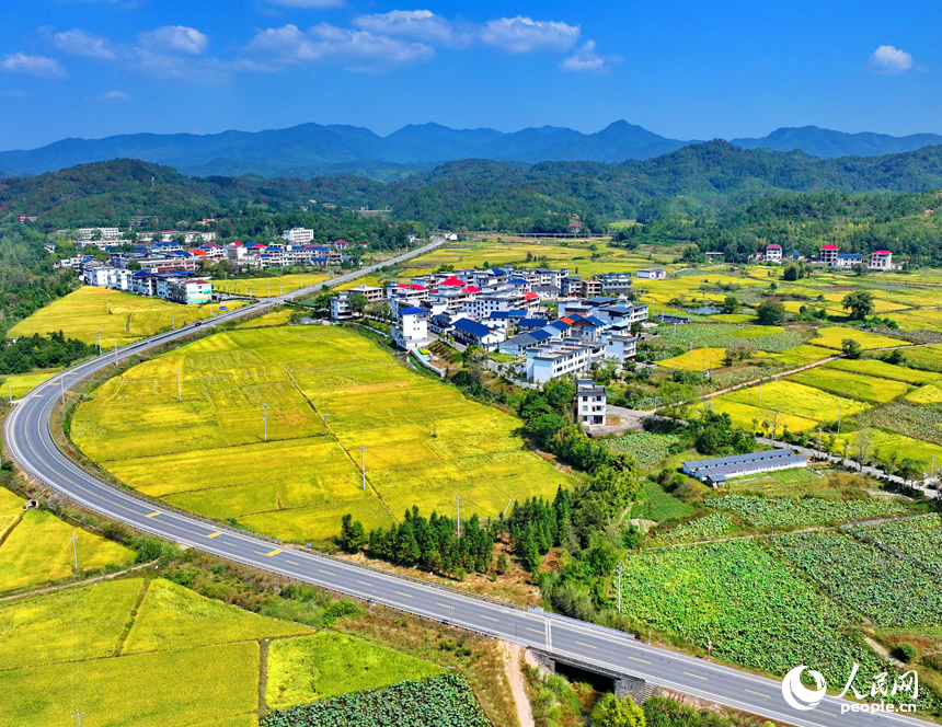 贛州市寧都縣洛口鎮(zhèn)員布村，“四好農(nóng)村路”與沿線稻田、農(nóng)房、青山相映相稱，路暢景美如畫(huà)。人民網(wǎng) 朱海鵬攝