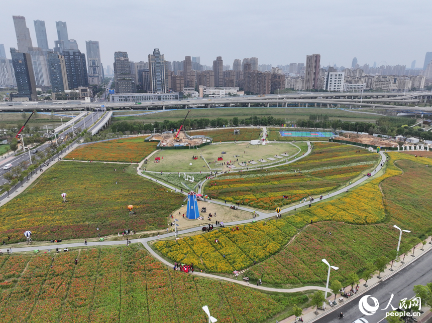 初冬時(shí)節(jié)，南昌馬蘭圩濕地公園菊花盛開(kāi)，游客們?cè)诠珗@內(nèi)賞花游玩。人民網(wǎng)記者 時(shí)雨攝