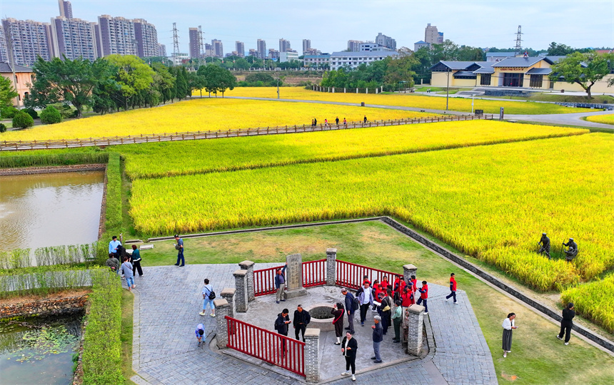 瑞金市紅井景區(qū)，許多游客在參觀“紅井”，接受愛國主義和革命傳統(tǒng)教育。人民網(wǎng) 朱海鵬攝